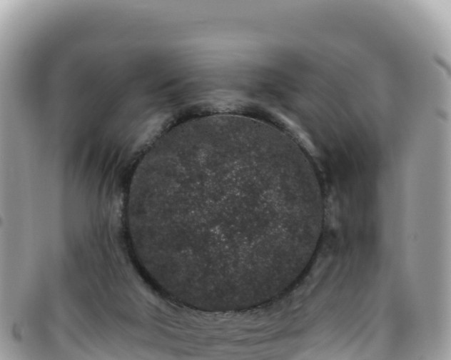 X0000095930018200801181450