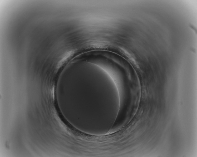 X0000095930019200801181450