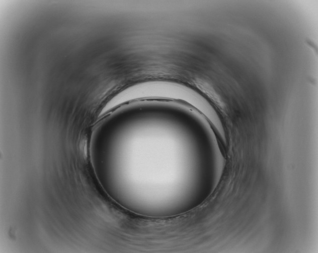 X0000095930021200801181450
