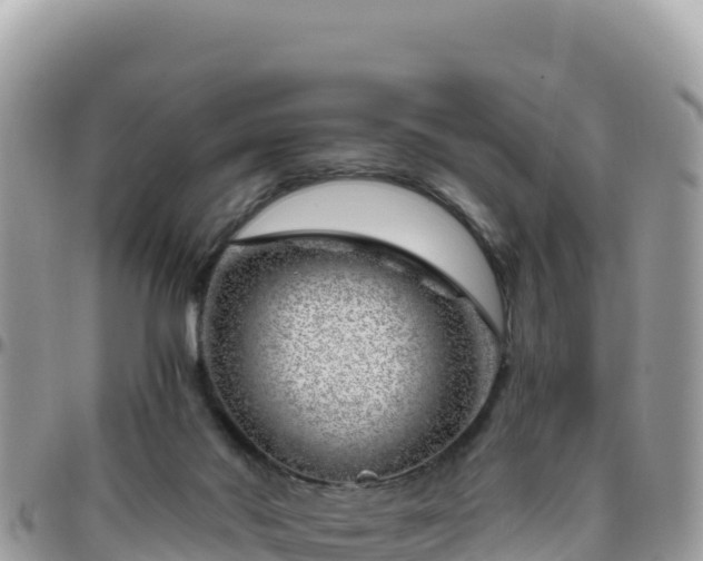X0000095930022200801181450