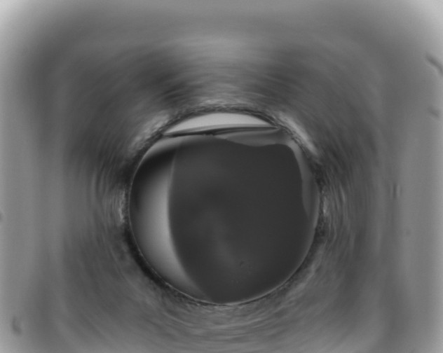 X0000095930023200801181450