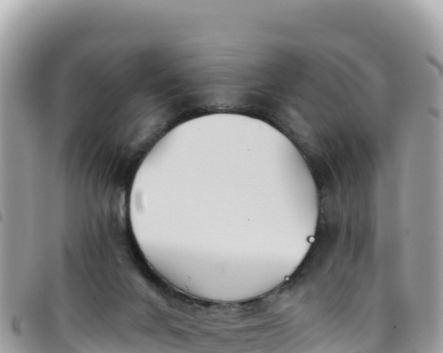 X0000095930024200801181450