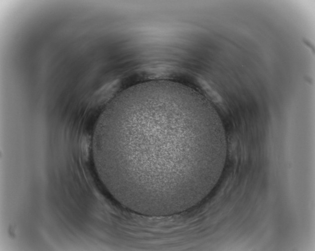 X0000095930026200801181450