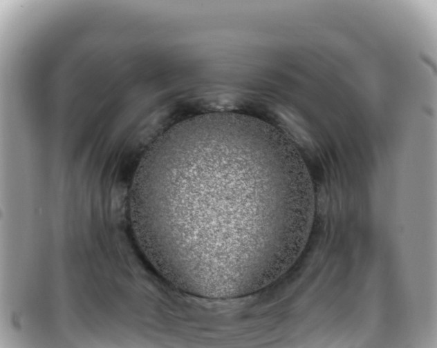 X0000095930030200801181450