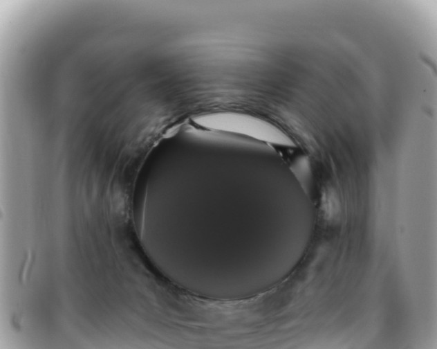 X0000095930031200801181450