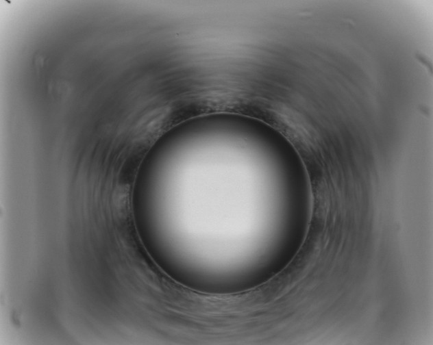 X0000095930034200801181450