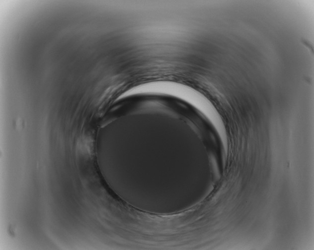 X0000095930035200801181450