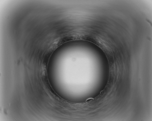 X0000095930038200801181449