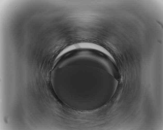X0000095930039200801181449