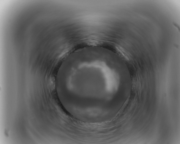 X0000095930043200801181449