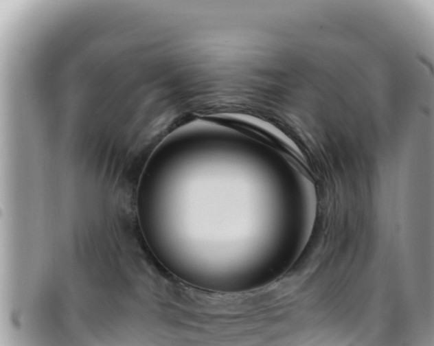 X0000095930044200801181449