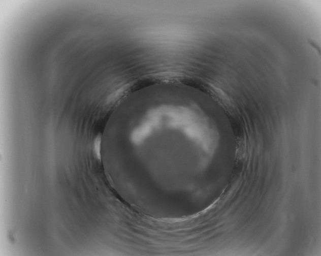X0000095930047200801181449