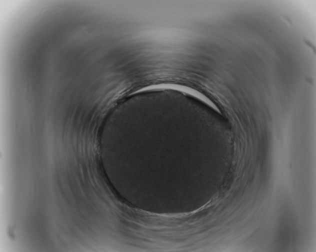 X0000095930048200801181449