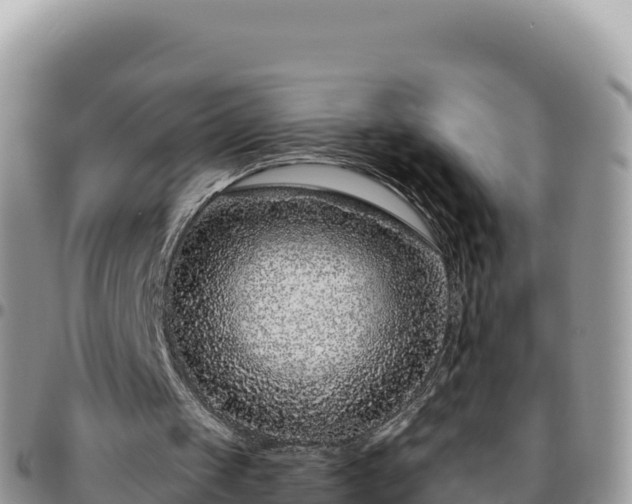 X0000095930049200801181449