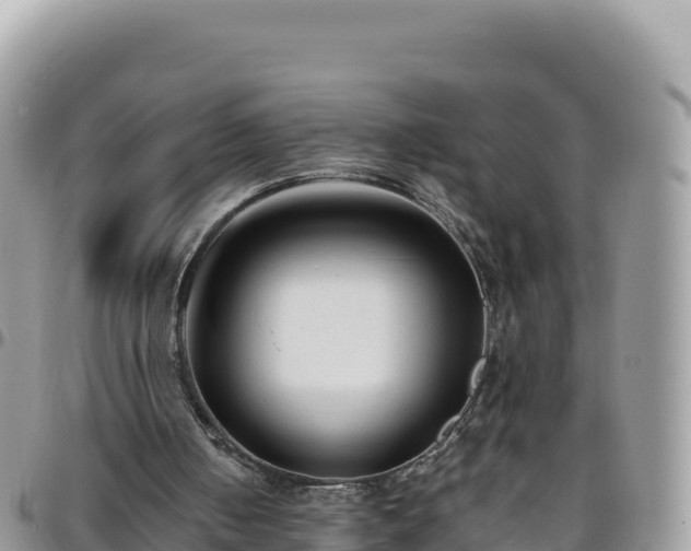 X0000095930050200801181449