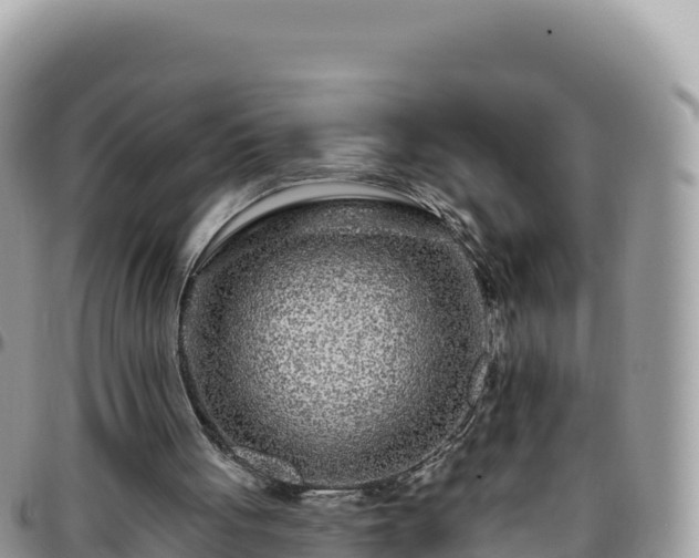 X0000095930051200801181449