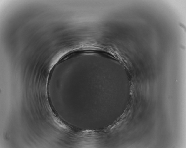X0000095930052200801181449