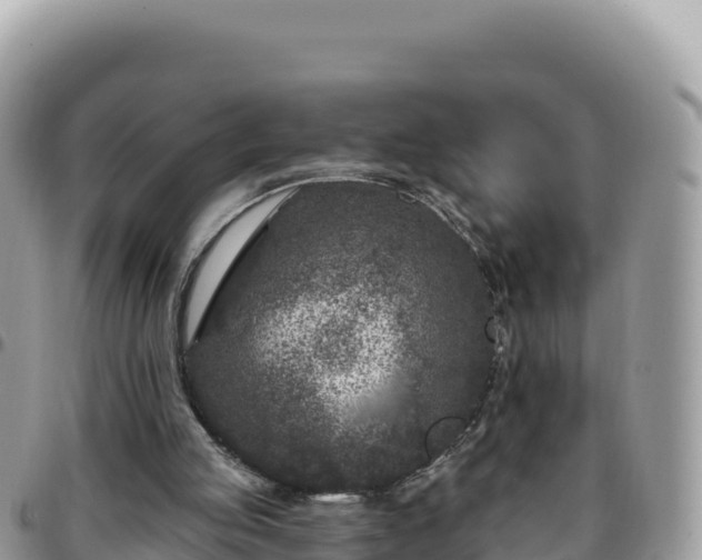 X0000095930053200801181449