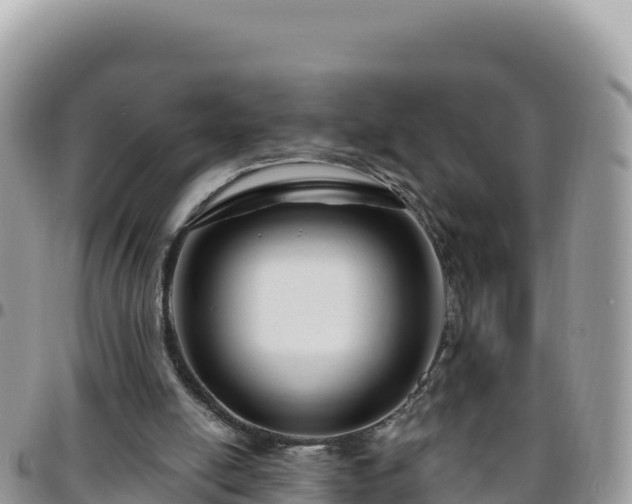 X0000095930054200801181449