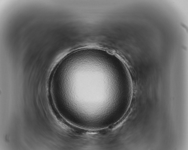 X0000095930055200801181449