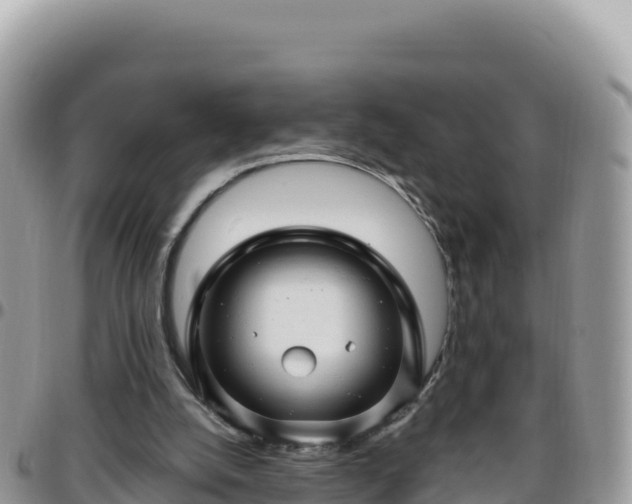 X0000095930056200801181449