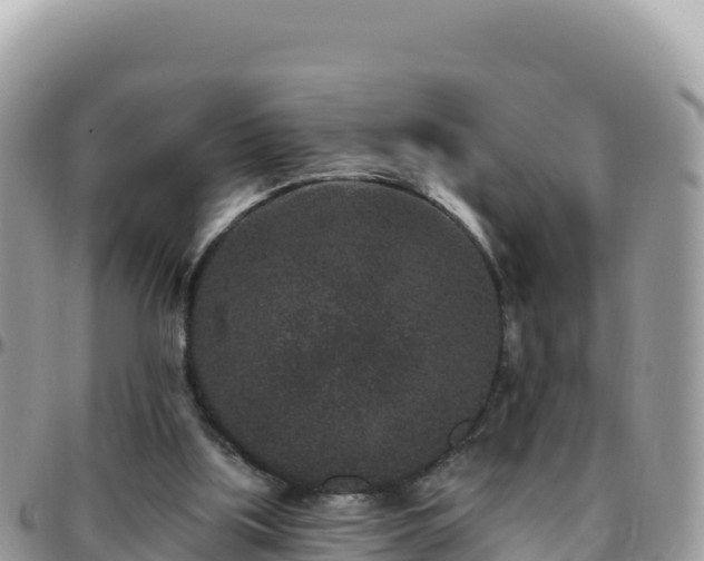 X0000095930059200801181449