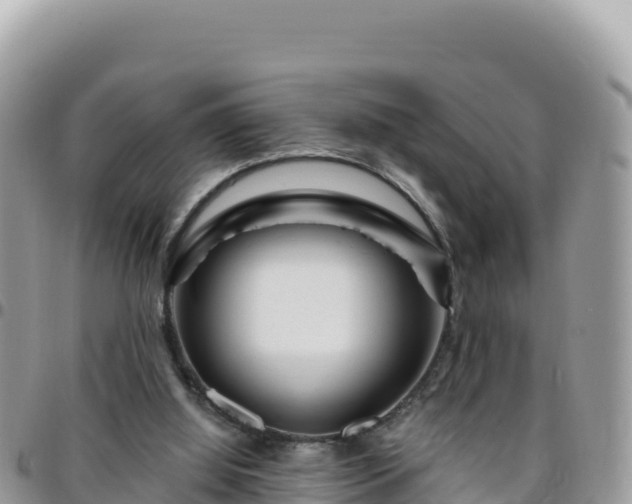 X0000095930060200801181449