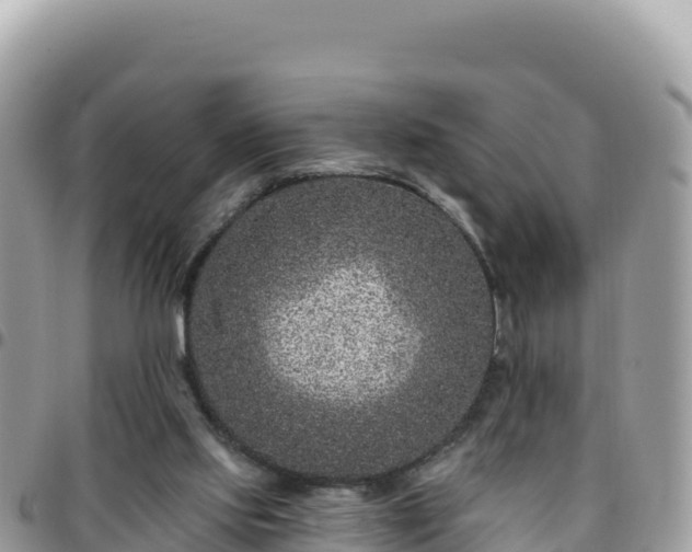 X0000095930061200801181449