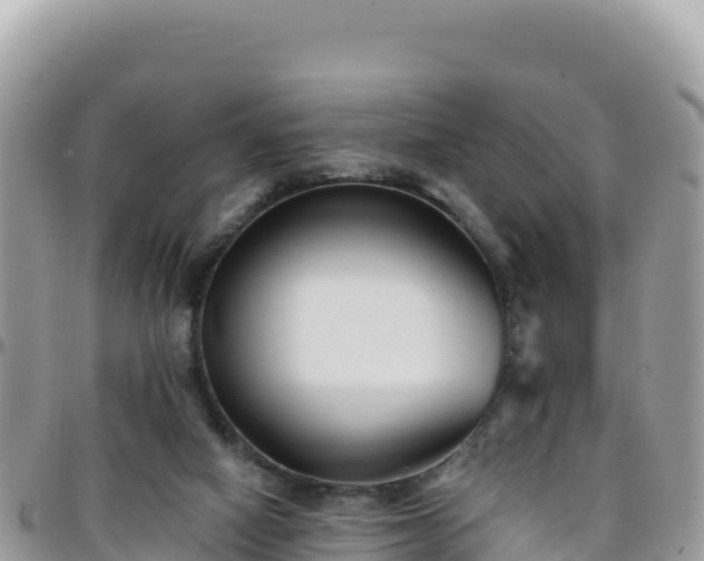 X0000095930066200801181449