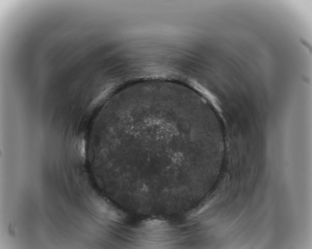 X0000095930067200801181449