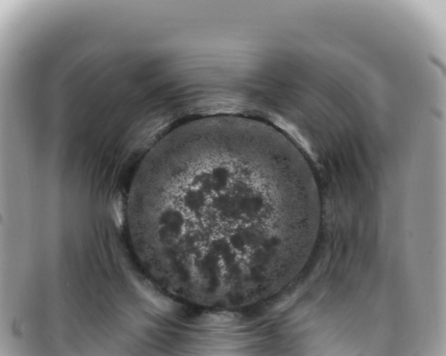 X0000095930069200801181449