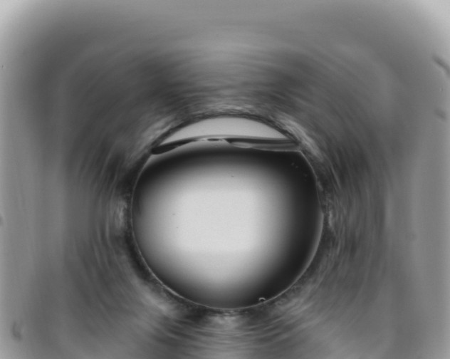 X0000095930071200801181449