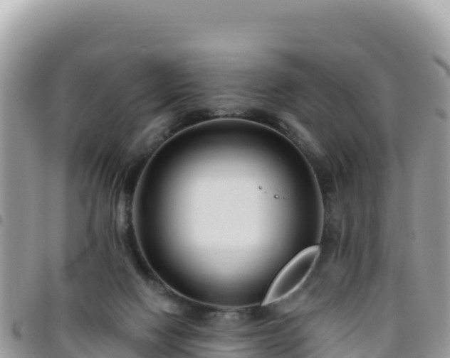 X0000095930074200801181449