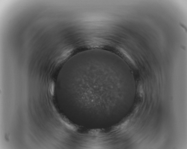 X0000095930076200801181449