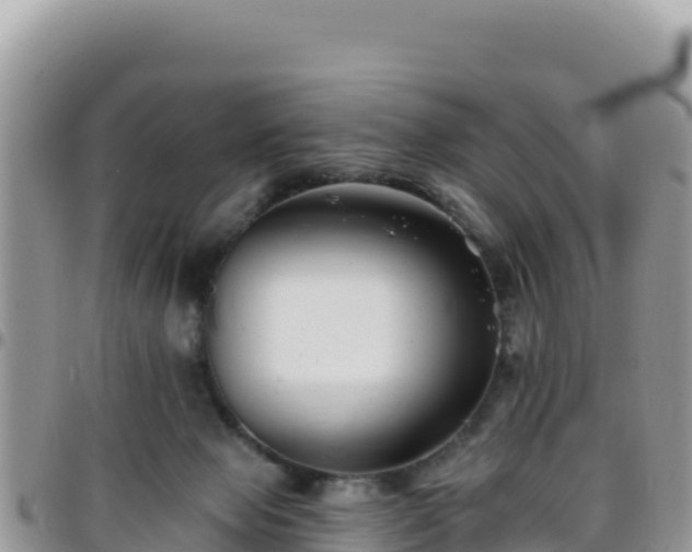 X0000095930077200801181449