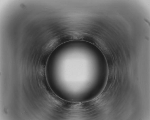 X0000095930078200801181449