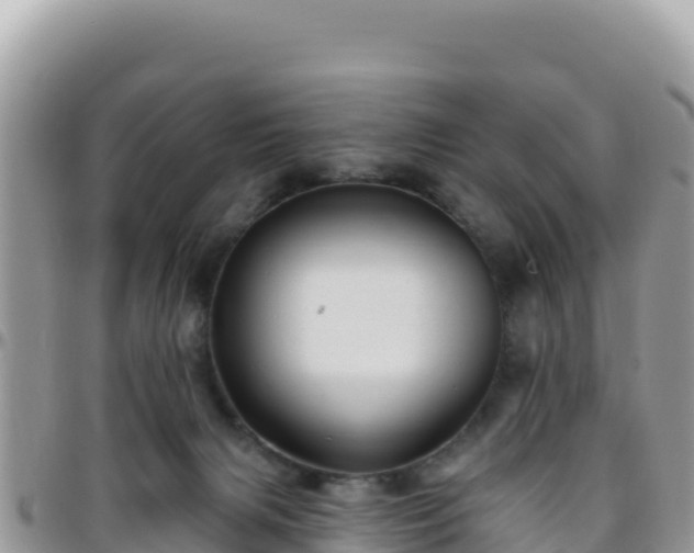 X0000095930079200801181449