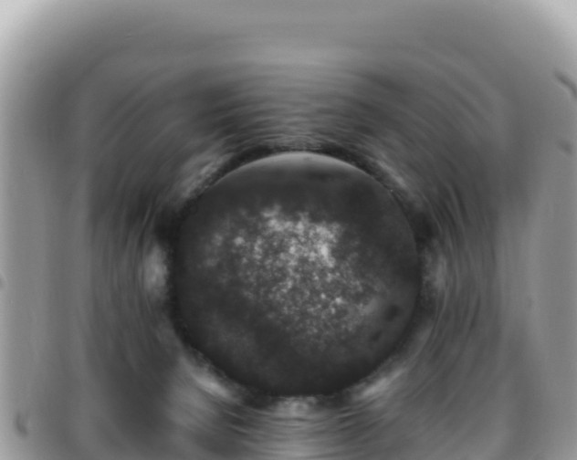 X0000095930080200801181449