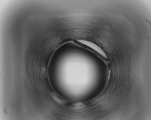 X0000095930087200801181449