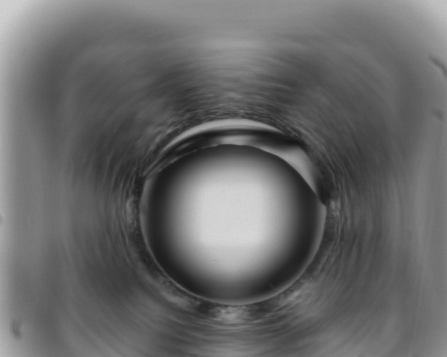 X0000095930088200801181449