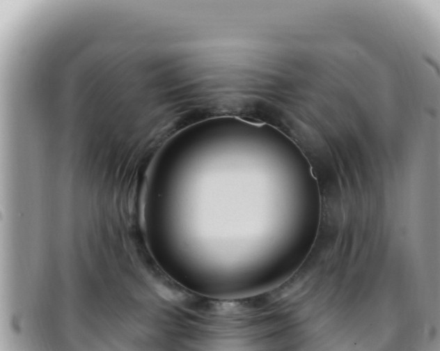 X0000095930091200801181449