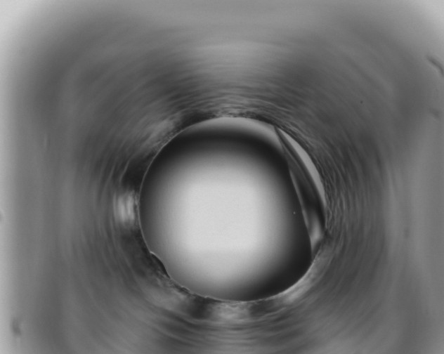 X0000095930094200801181449