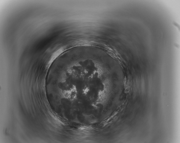 X0000095930099200801181449