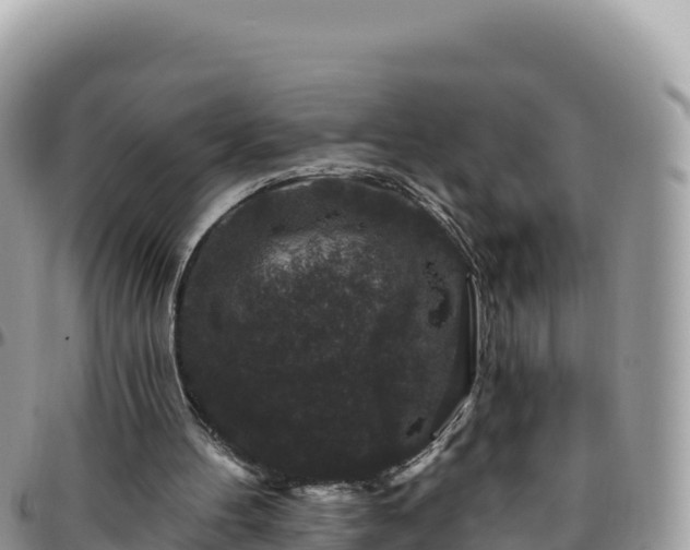 X0000095930100200801181449
