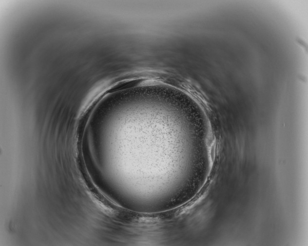 X0000095930101200801181449