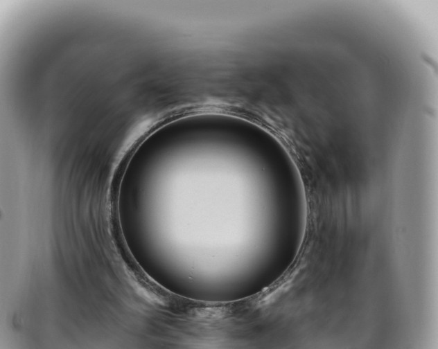 X0000095930102200801181449