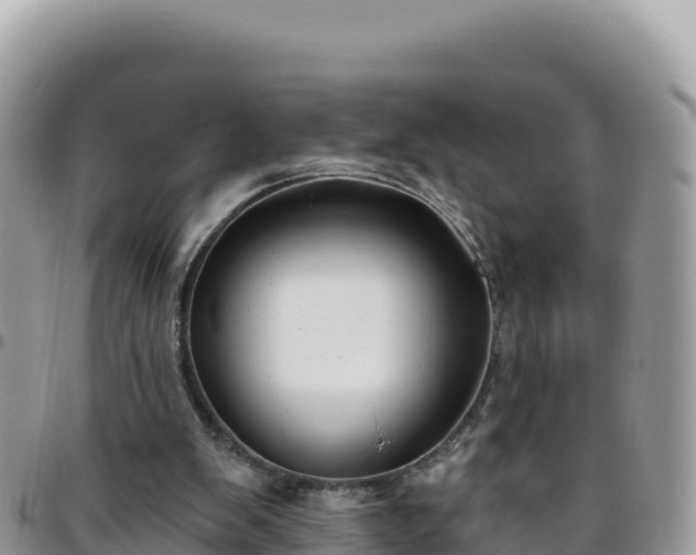X0000095930103200801181449