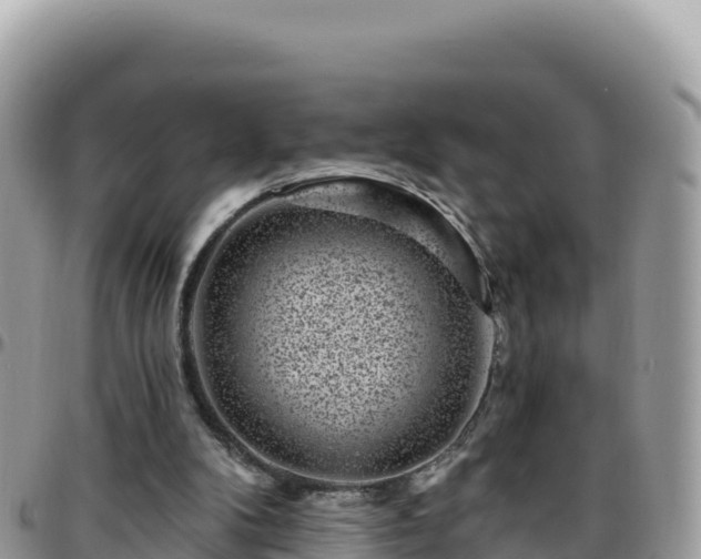 X0000095930104200801181449