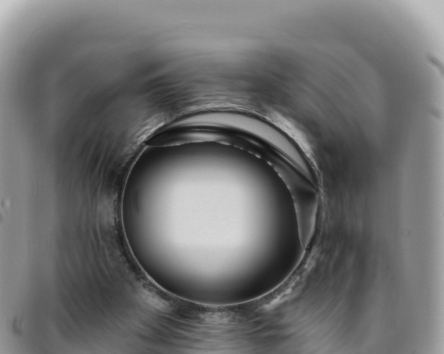 X0000095930105200801181449