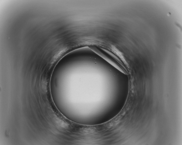 X0000095930106200801181449
